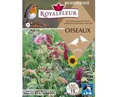 Royalfleur PFRH08667 Graines de Mélange de Fleur pour Prendre Soin Oiseaux 100 m²