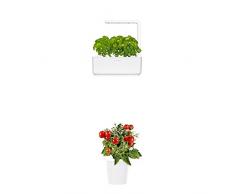 Click & Grow Smart Garden 3 jardinière dintérieur 30 x 10 x 28 cm Blanc (contient 3 capsules de basilic) + 2 recharges mini tomates (x3)