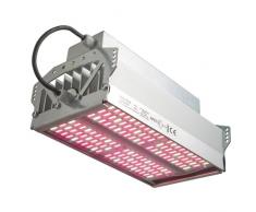 Valoya 03–155–230 r150 aP673 fenêtres lED