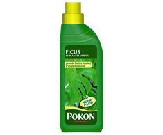 Pokon Engrais Plantes Vertes et Ficus Liquide 500ml