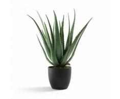 AM.PM - Plante aloe vera artificielle H67 cm, Canary . Vert AM.PM.