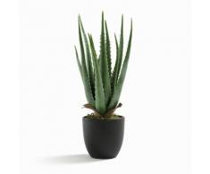 AM.PM - Plante aloe vera artificielle H40 cm, Canary . Vert AM.PM.