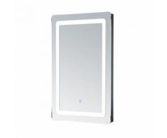 Miroir lumineux LED de salle de bain 9 W dim. 50 x 4 x 70 cm - Miroir