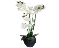 Plante artificielle - Orchidée - Gris - H 53 cm - Objet à poser