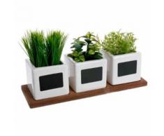 Paris Prix - Lot De 3 Plantes Artificielles herbes Aromatiques 34cm Blanc - Plantes artificielles