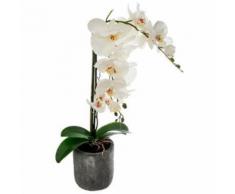 Paris Prix - Plante Artificielle orchidée 62cm Blanc - Plantes artificielles
