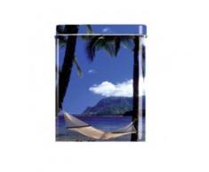Boite Cigarettes - Palmier Plage Ciel Bleu - Conservation