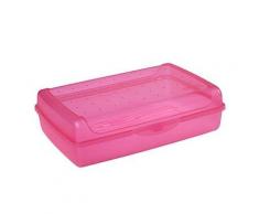 Okt 2053899 click-boîte plastique rosé transparent taille maxi 10695550000 - Accessoires de rangement