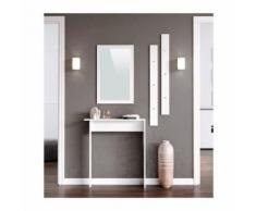 KYRA Meuble d'entrée contemporain mélaminé blanc mat - L 80 cm - Étagère