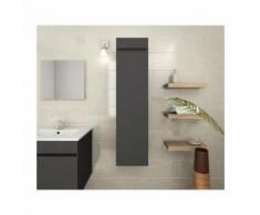 LANA Colonne de salle de bain 30 cm - Gris mat - Accessoires salles de bain et WC