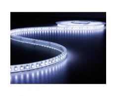 Flexible à led - blanc froid 25000k - 600 leds - 5 m - 24 v velleman lq24w150cw10 - Appliques et spots