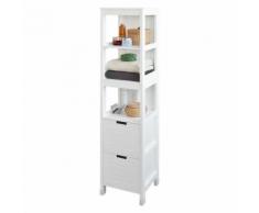 SoBuy® Meuble Colonne de Salle de Bain Armoire Toilette -2 tiroirs,FRG126-W FR - Meubles de salle de bain