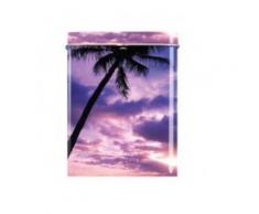 Boite Cigarettes - Plage Palmier - Bleu - Conservation