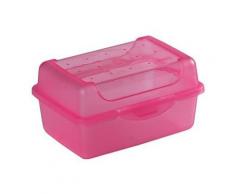 Okt 2053887 click-boîte plastique rosé transparent taille micro 10691550000 - Accessoires de rangement