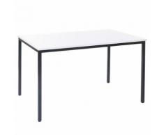 Bureau Braila, table de conférence / seminaire, 120x80cm ~ blanc - Bureaux