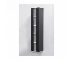 LOUNGITUDE Colonne de salle de bain ALBAN L 25 cm - Noir brillant - Meubles de salle de bain