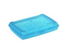 Okt 2053892 click-boîte plastique bleu transparent taille mini 10692632000 - Accessoires de rangement