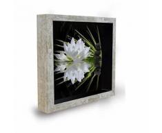 Tableau déco cadre vitrine 20x20 - Lotus zen - Décoration murale